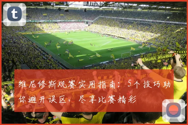 维尼修斯观赛实用指南：5个技巧助你避开误区，尽享比赛精彩