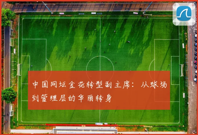 中国网坛金花转型副主席：从球场到管理层的华丽转身