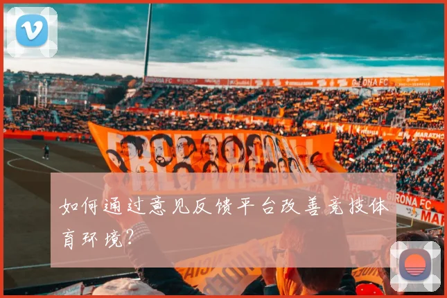 如何通过意见反馈平台改善竞技体育环境？