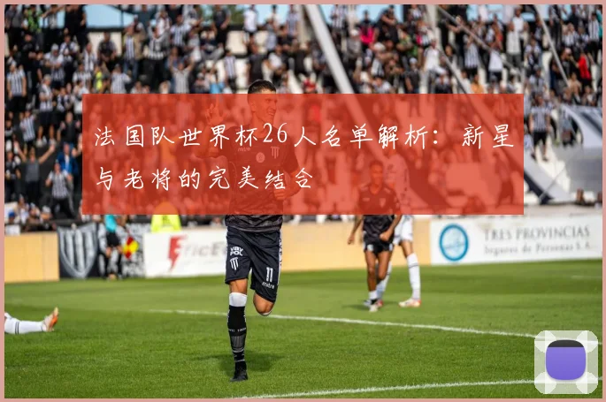 法国队世界杯26人名单解析：新星与老将的完美结合